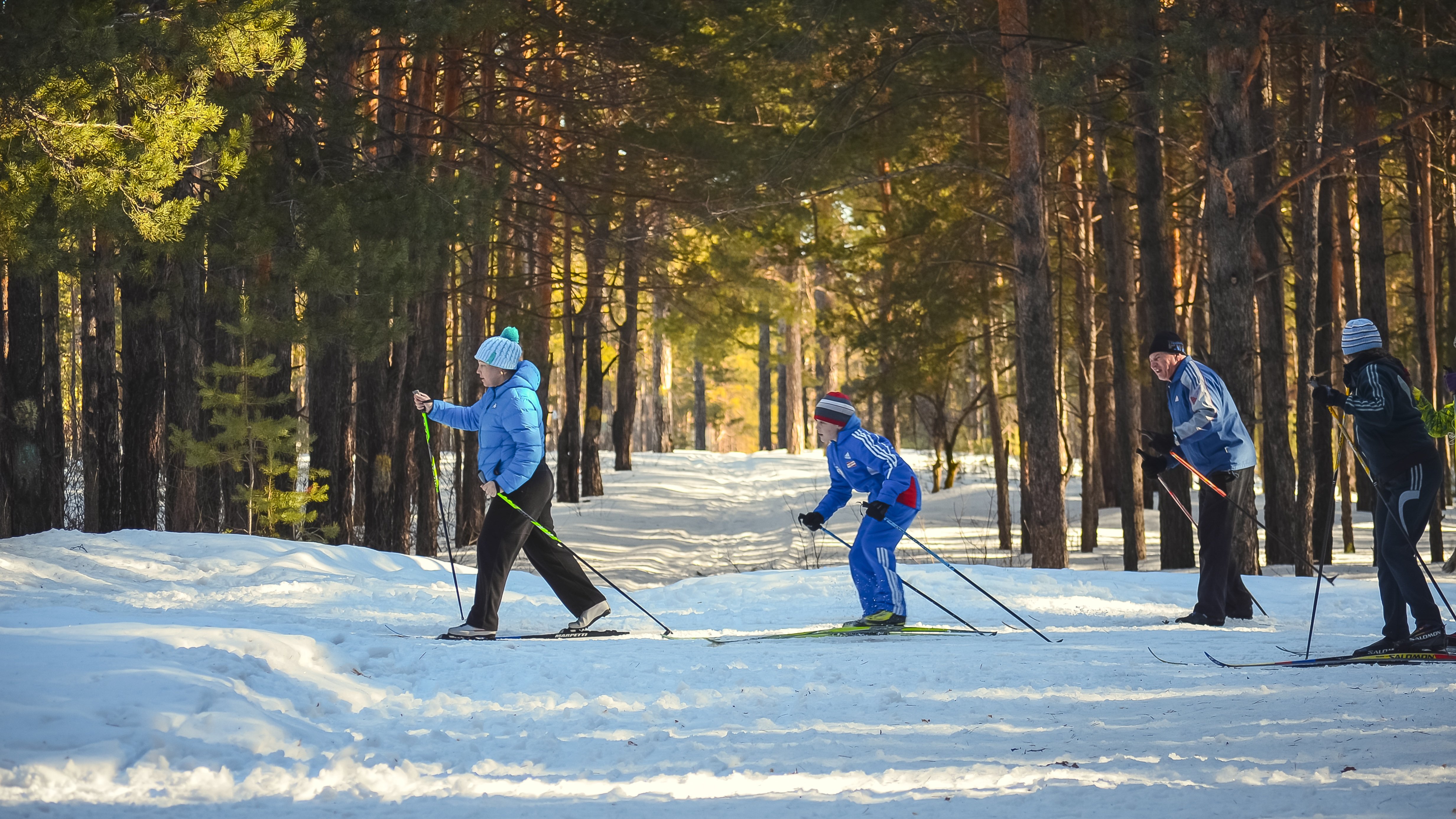 Forest ski. Лыжник в лесу. Катание на лыжах в лесу. Прогулка на лыжах в лесу. Лыжные прогулки по лесу.